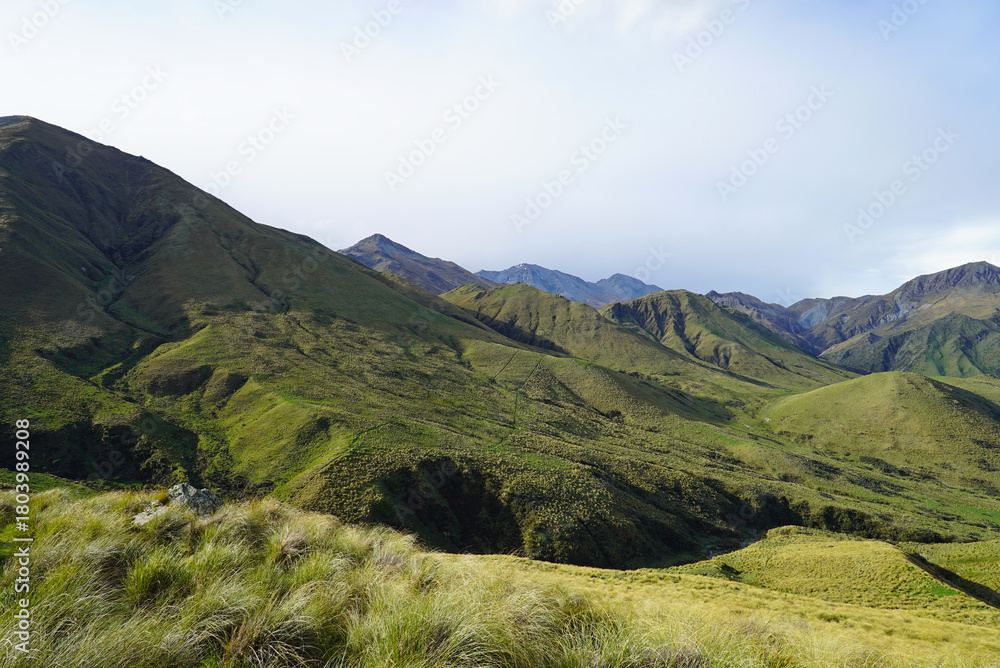 Naklejka premium Danseys Pass Kakanui Range tussock-covered high country mountains in springtime under a blue cloudy sky. Waitaki and Central Otago in the South Island of New Zealand.
