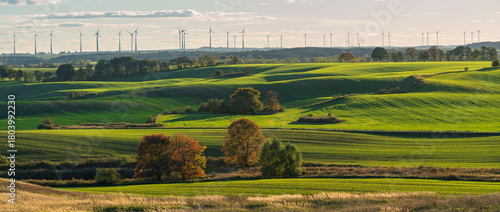 Intensely green fields contrasting with the autumn colors of trees in Brandenburg, Germany