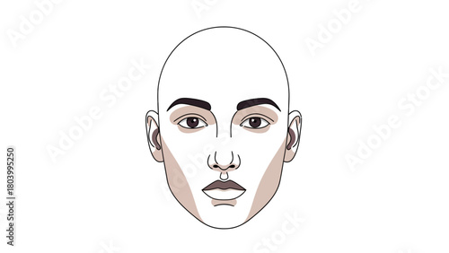 A bald persons face with makeup contouring lines