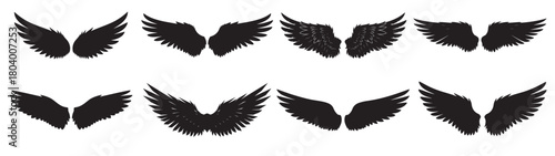 Set of wings vector, bird fairy angel butterfly graphic, isolated feather element, freedom flight symbol, decorative design collection, mystical fantasy illustration, animal anatomy