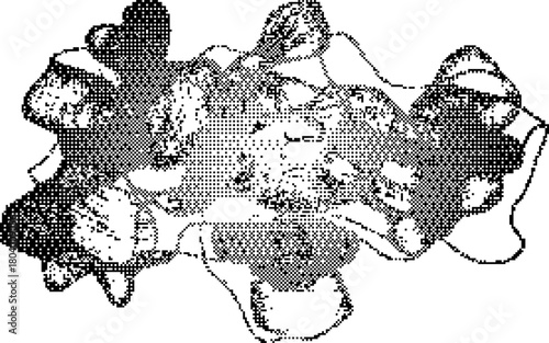 Abstract subtle halftone grunge texture featuring a soft distressed urban background for clean vector illustration projects