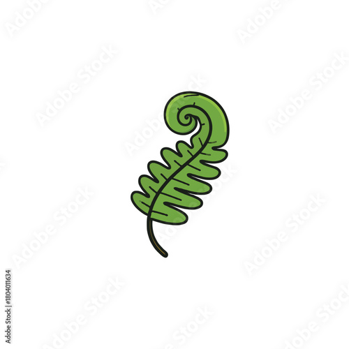 Isolated vector fern frond illustration embodying nature's delicate spiral growth pattern in a