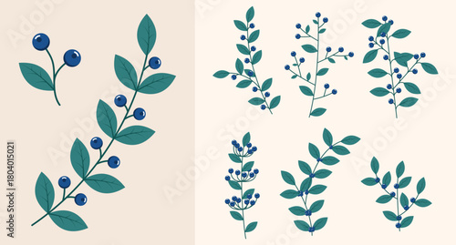 Set of blueberries. Winter plants. Winter branches and leaves. Winter floral elements. Holiday decoration. Vector illustration