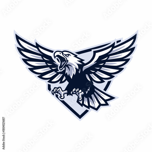 Eagle mascot logo with spread wings and open beak in front of a diamond shape.