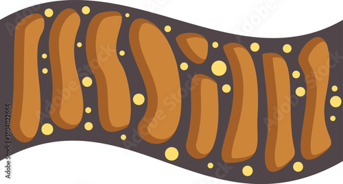 Beta cells secreting insulin hormone inside pancreas regulating glucose in blood, maintaining healthy metabolism and preventing diabetes