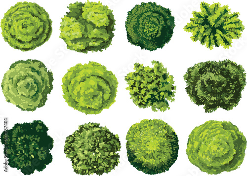 Design for a landscape architecture plan, map, or garden top view.