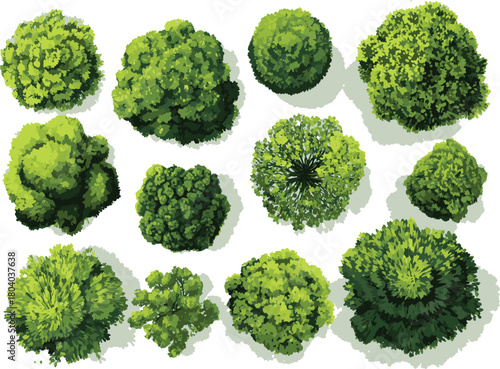 Set of top-view green plants, flowers, and trees vector illustration on a transparent background