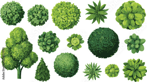Set of vector green tree top views, landscape design elements, isolated on a transparent background. PNG file