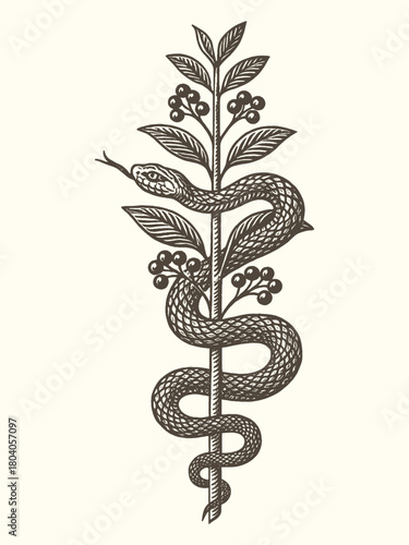 Snake and plant totem vintage engraving vector illustration