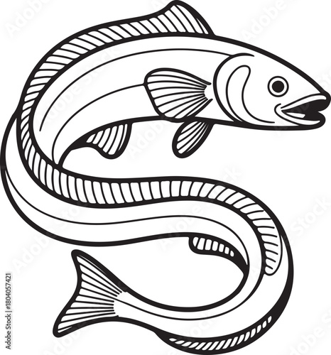 Eel Fish Line Art, Coloring Book Page Line Art Drawing, Vector and Illustration