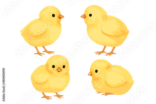 Four cute yellow baby chicks watercolor style isolated on white background