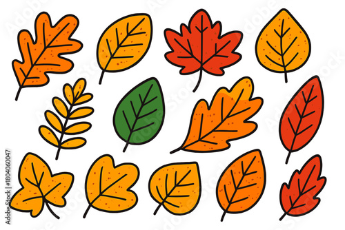 Colorful assortment of autumn leaves featuring doodle outline and texture