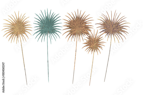 Stylized dried palm tree fronds with long stems for decoration