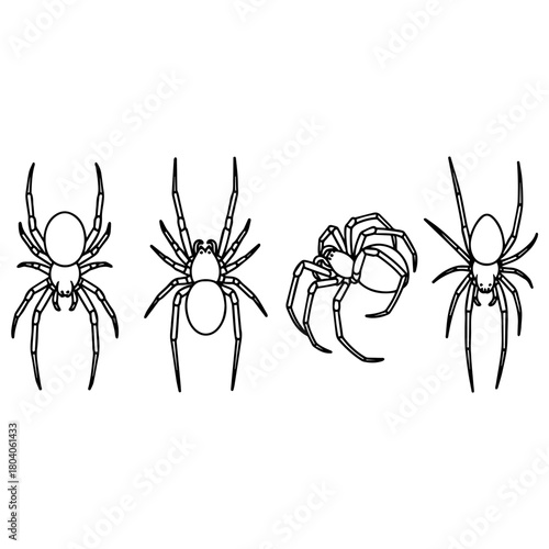Spider Outlines Set Diverse Arachnid Illustrations in Black and White Vector Illustration
