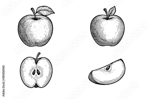 Assorted fruit whole half and slice in detailed vintage engraving style