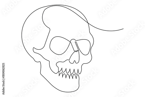 Anatomy skull continuous outline drawing simple style artistic element