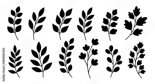 Set of various black silhouette leaves and branches on a white background.