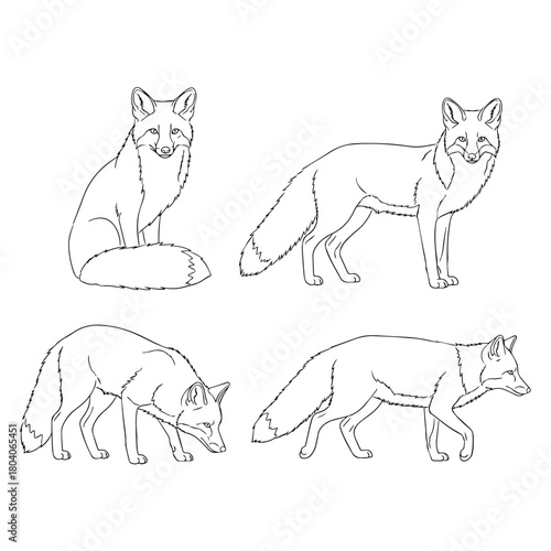 Pixelated Fox Line Art Collection Vector Illustration