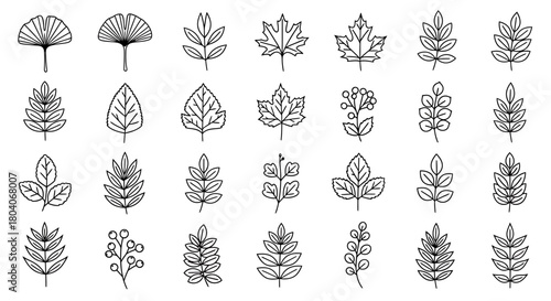 Collection of Hand-Drawn Botanical Leaf Illustrations in Black and White.