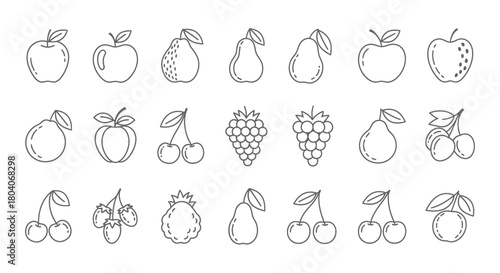 Collection of hand-drawn fruit illustrations in a minimalist line art style.