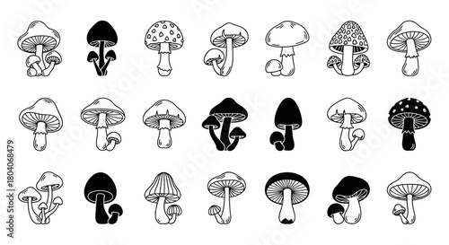 Collection of Hand-Drawn Mushroom Illustrations in Various Styles.