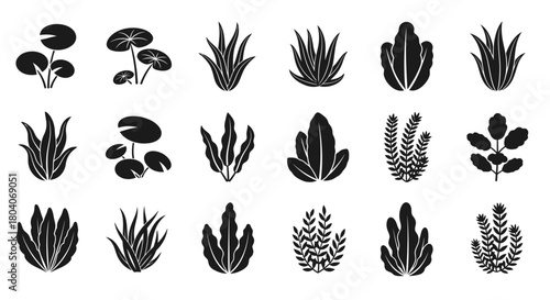 Collection of various aquatic and terrestrial plant silhouettes.