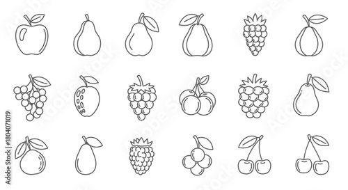 Collection of various fruit line art illustrations on a white background.