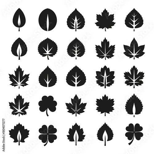 Collection of various leaf silhouettes in black and white.