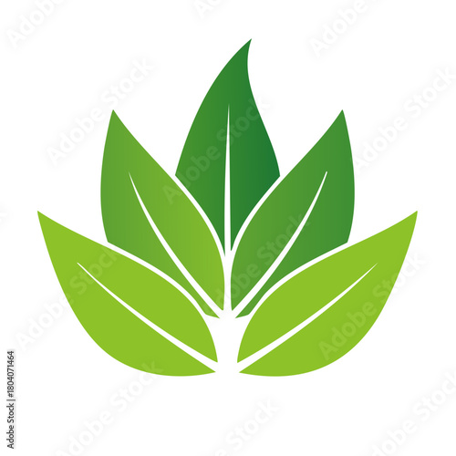 Abstract Green Leaves Logo Design Element