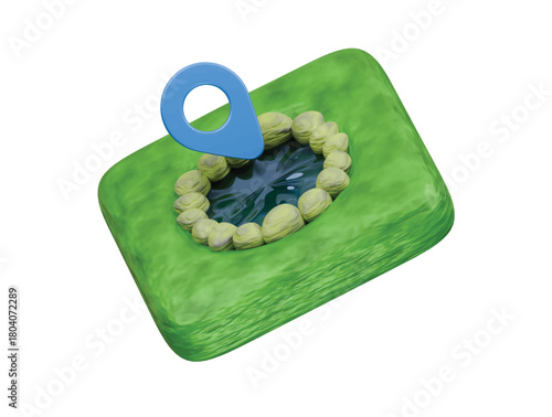 fishing location icon 3d illustration render