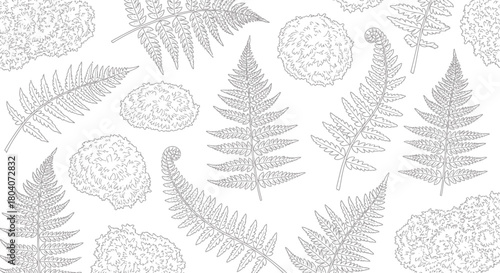 Detailed botanical illustration of various fern leaves and fiddleheads in a seamless pattern.