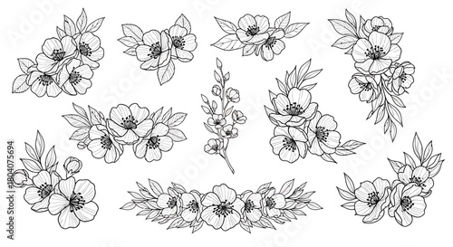 Elegant Hand-Drawn Floral Arrangements and Botanical Elements Set.