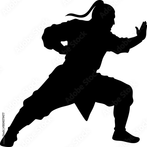 Chinese Kung Fu Warrior Silhouette in Traditional Dynamic Fighting Stance