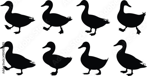 Duck walking silhouette illustration set, black vector icons showing motion sequence, stylized animal poses, cartoon bird design, white background