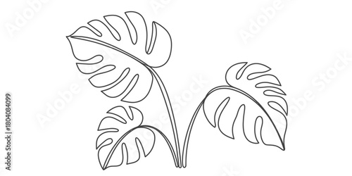 Monstera leaf outline drawing continuous line art style. tropical plant illustration for botanical design, decor, nature, jungle themes. Vector, illustration