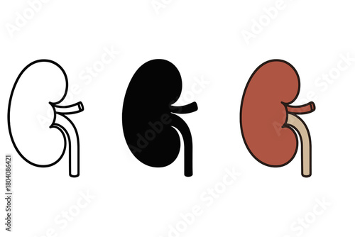 Anatomical human kidney symbols set in three styles: outline, solid black, and color