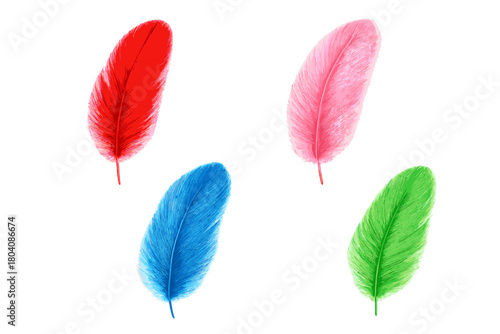 Four brightly colored fluffy bird feathers in red, pink, blue, and green isolated on white