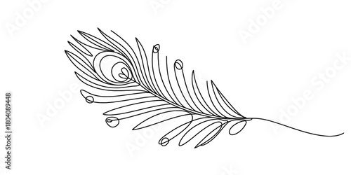 One continuous line drawing of an elegant peacock feather with intricate details, showcasing minimalist artistry and natural beauty on white.