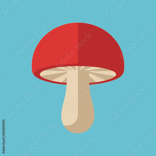 Red mushroom with a beige stem on a blue background.