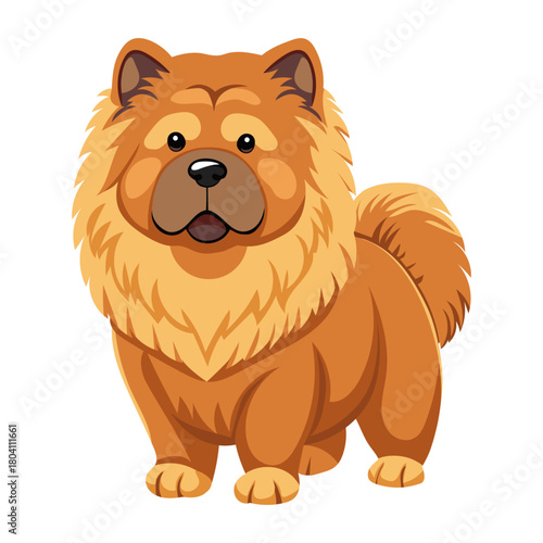 Fluffy Chow Chow dog full body. Cute vector illustration in flat style. Purebred dog. Isolated on white background.