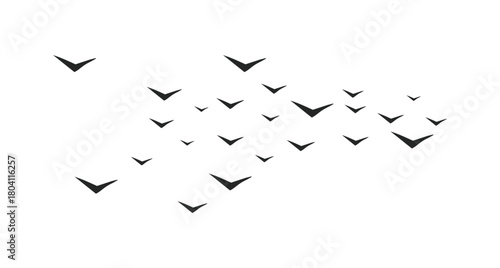 Bird Flock Silhouette Vector Illustration