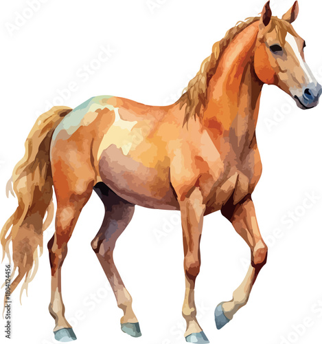 Chestnut Sorrel Brown Horse Animal Vector Watercolor Illustration