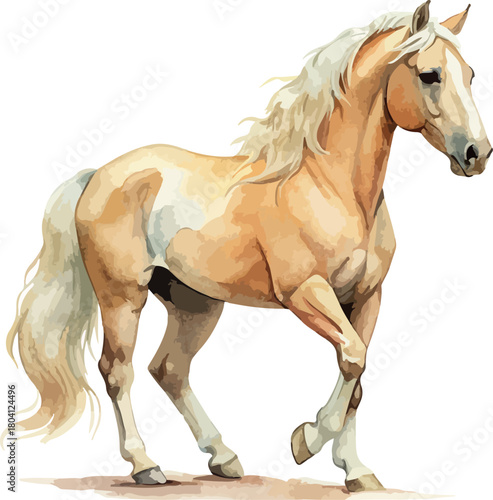 Bild auf Leinwand Palomino Beige Horse Standing Animal Vector Watercolor Illustration