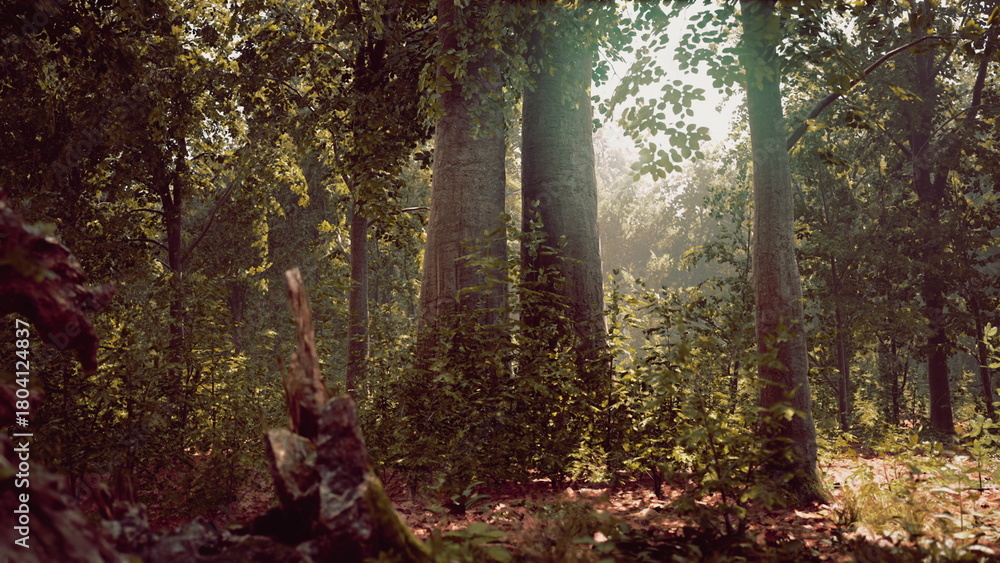 Obraz premium Sunlight filters through tall trees in a vibrant forest, illuminating lush green leaves and creating a peaceful atmosphere. Leaves scatter on the forest floor, offering a serene escape.