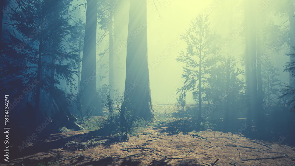 Fototapeta premium A serene forest landscape emerges with tall, majestic trees surrounded by a gentle mist. Sunlight softly illuminates the area, creating a tranquil atmosphere in nature.