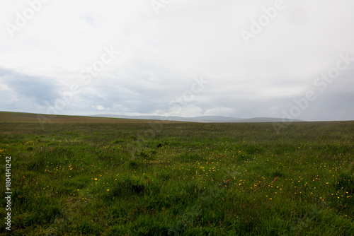 Grassy fields of Scotland with rolling green hills, open meadows, and gentle highland contours creating a peaceful and expansive rural landscape