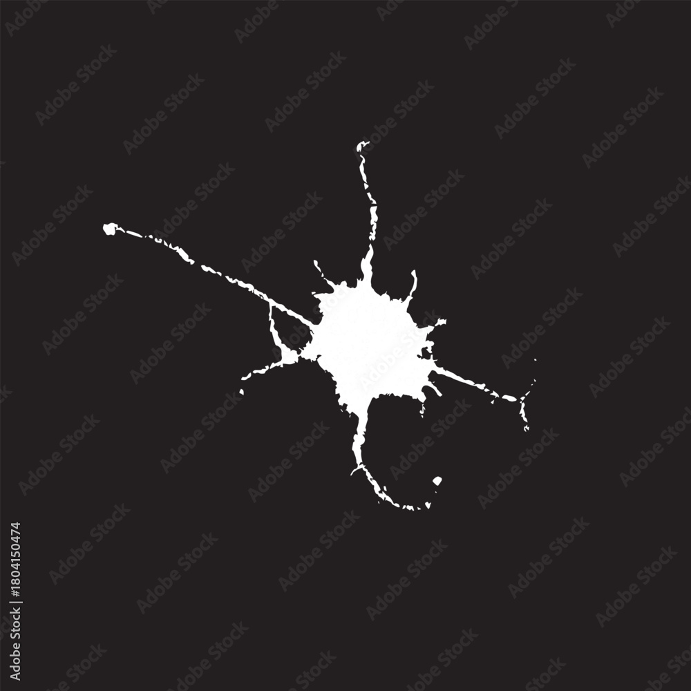 Obraz premium Grunge birds droppings black and white. Flat blots style vector illustration. Map. Abstract paint drop.
