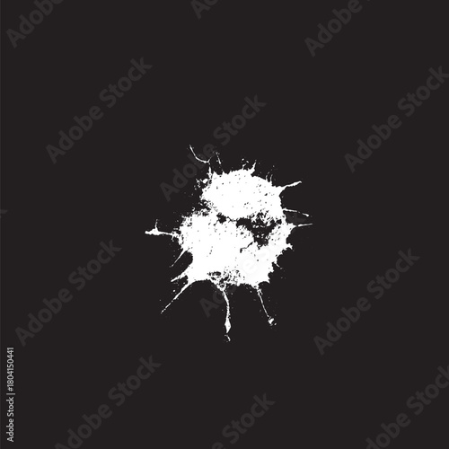 Grunge birds droppings black and white. Flat blots style vector illustration. Map. Abstract paint drop.