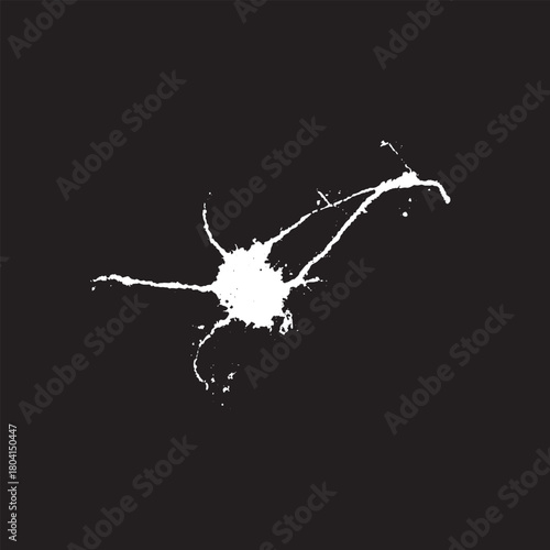 Grunge birds droppings black and white. Flat blots style vector illustration. Map. Abstract paint drop.