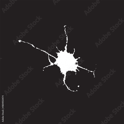 Grunge birds droppings black and white. Flat blots style vector illustration. Map. Abstract paint drop.